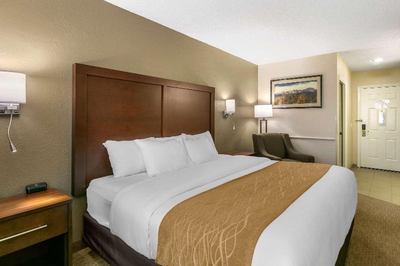 スタンダードルーム, Borovnik