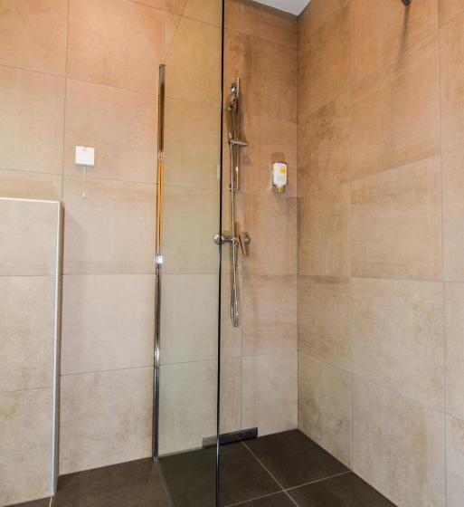 Comfort room with balcony, Grajski Dvor