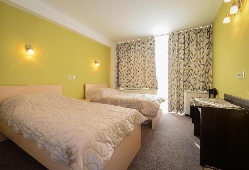 اتاق استاندارد با بالکن, Grajski Dvor