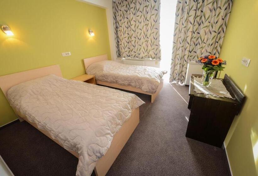 اتاق استاندارد با بالکن, Grajski Dvor