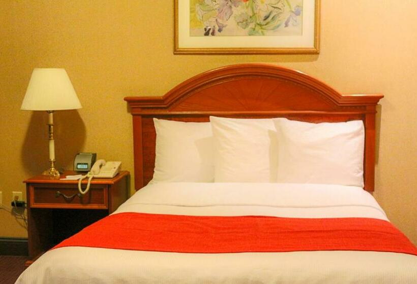 高级大房间, Newton