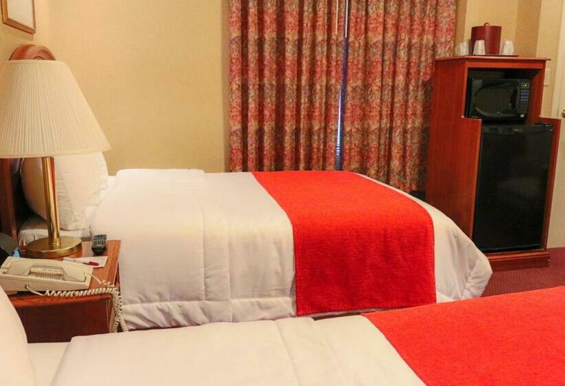 豪华房间, Newton