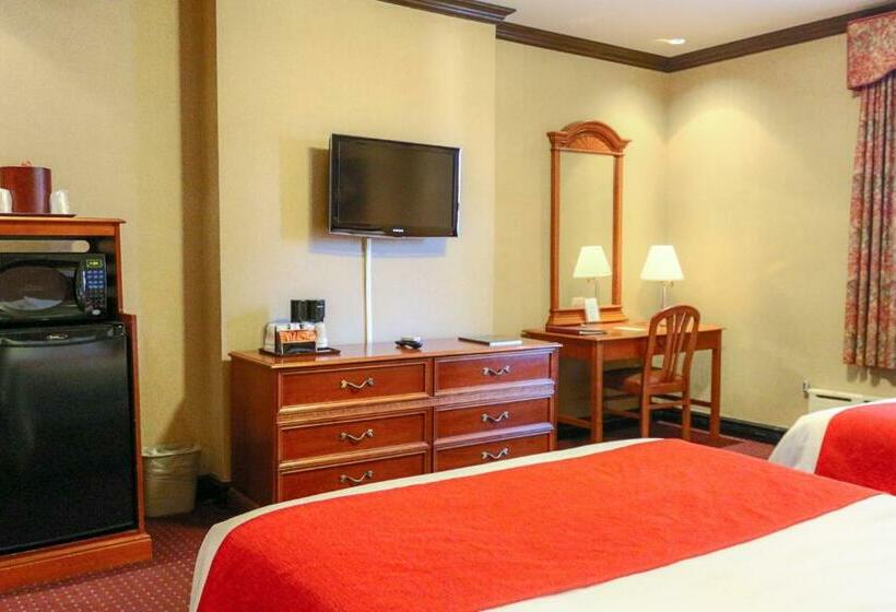 豪华房间, Newton