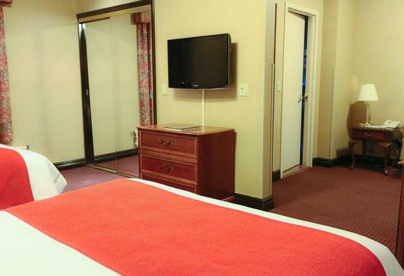 小型豪华套房, Newton