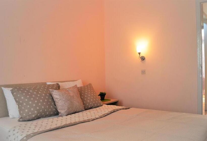 اتاق استاندارد یک نفره, Park