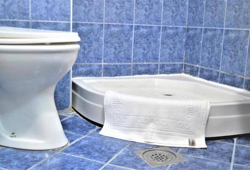 اتاق اکونومی, Park