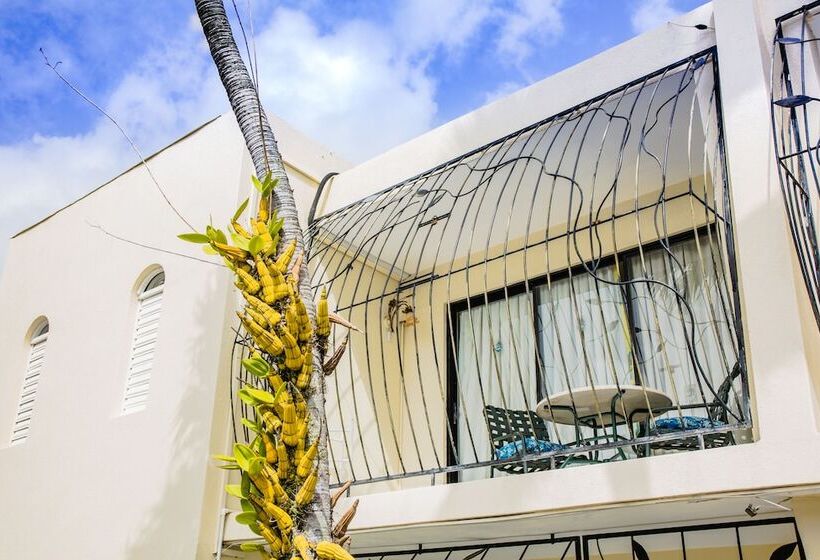 استودیو استاندارد با چشمانداز استخر, Pirate's Inn