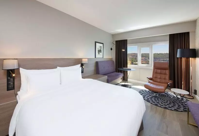 シティビューのスーペリアルーム, Radisson Blu Plaza Hotel, Oslo
