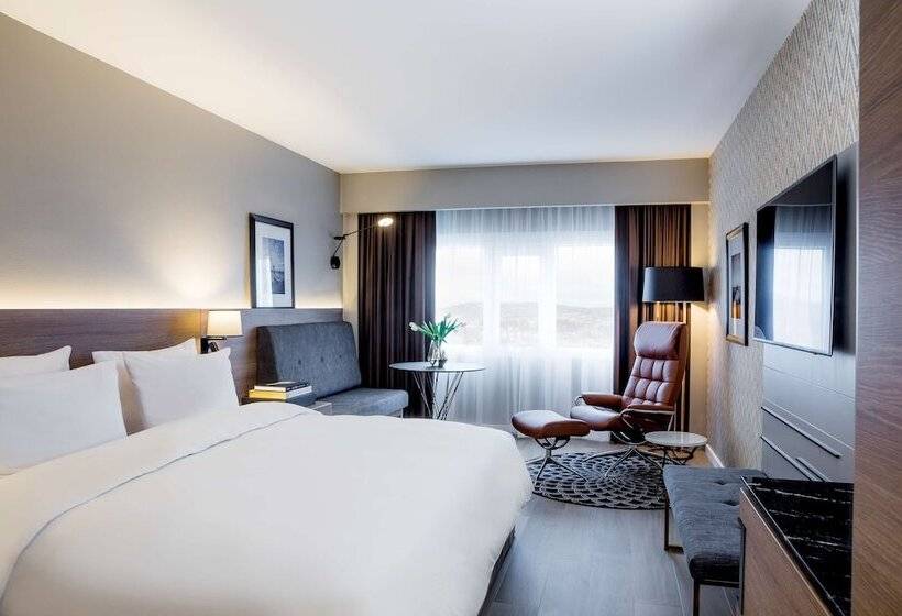 اتاق سوپریور با چشمانداز شهر, Radisson Blu Plaza Hotel, Oslo