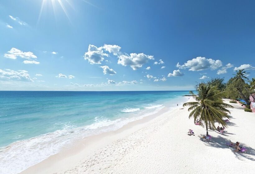 اتاق استاندارد با چشم‌انداز دریا, Southern Palms Beach Club