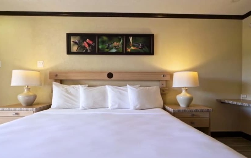 Deluxe Suite Sea View, Accra Beach Hotel & Spa