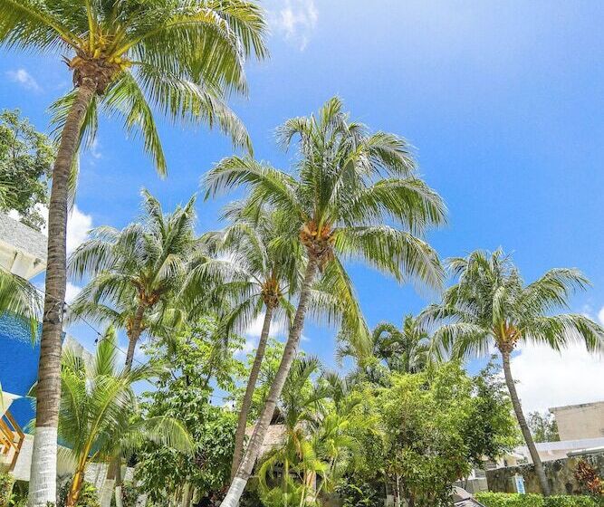 标准间, Caribe Internacional Cancun