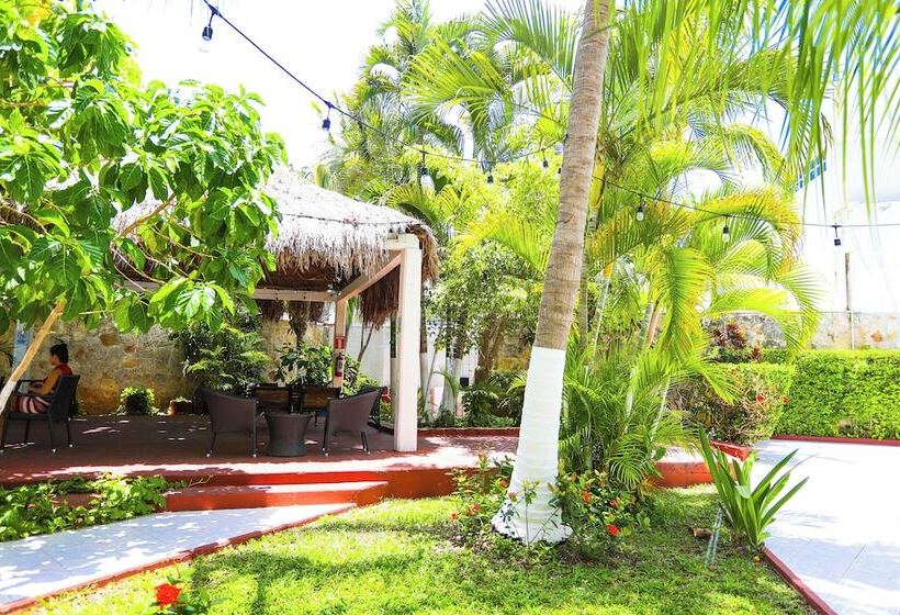 高级大房间, Caribe Internacional Cancun