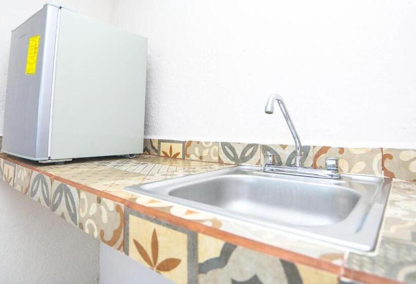 高级大房间, Caribe Internacional Cancun