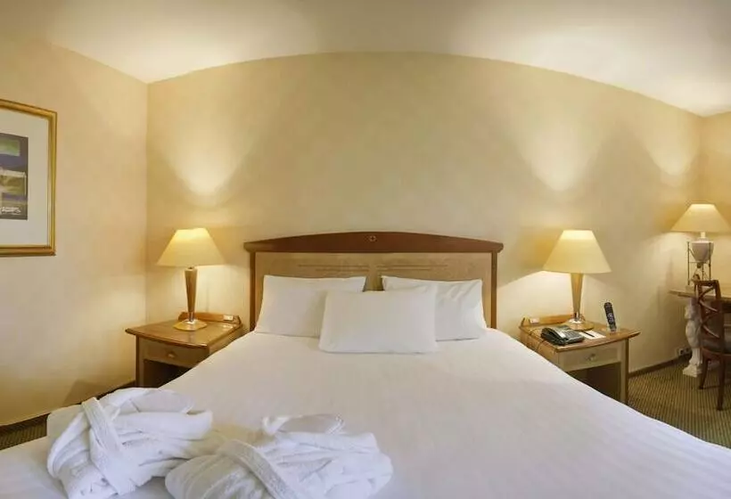 اتاق استاندارد, Millennium Hotel Paris Charles De Gaulle