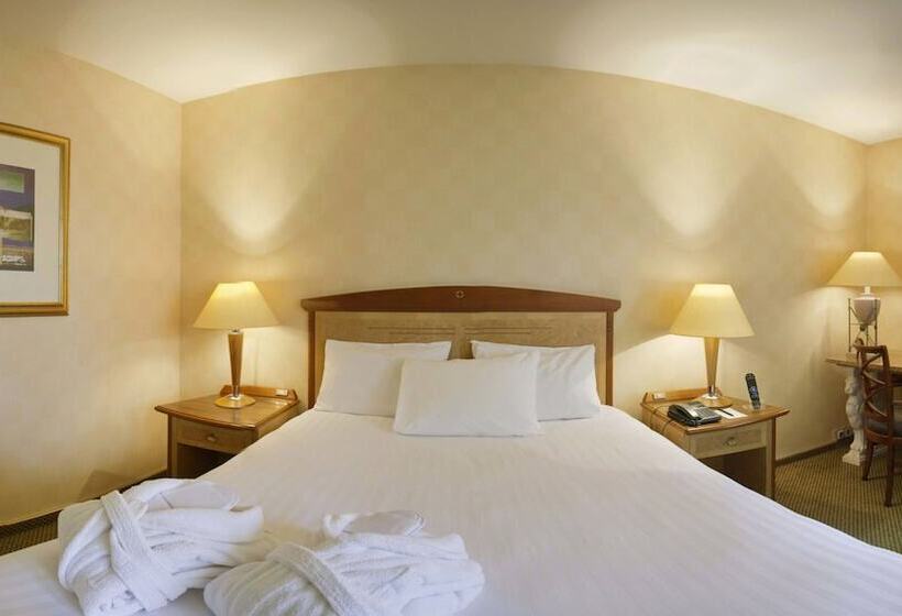 클럽 룸, Millennium Hotel Paris Charles De Gaulle