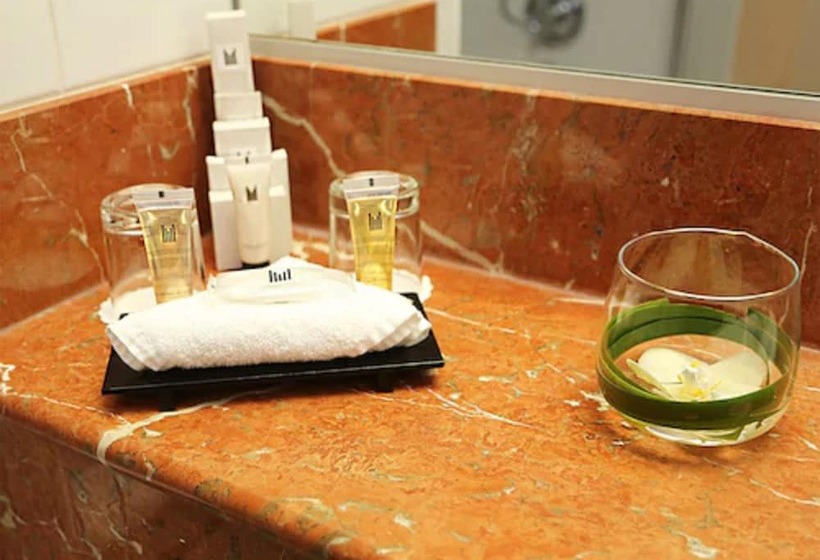 클럽 룸, Millennium Hotel Paris Charles De Gaulle