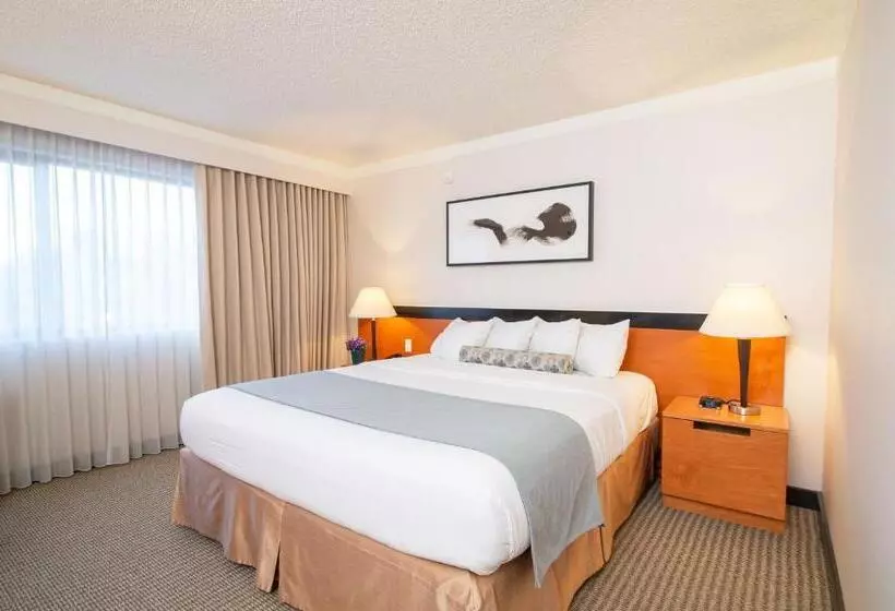اتاق سوپریور با تخت بزرگ, Miyako Hotel Los Angeles