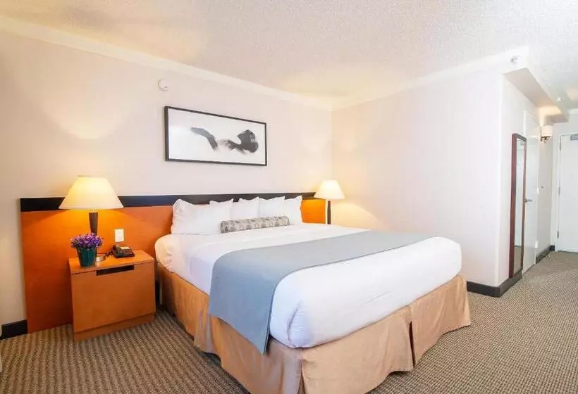 اتاق سوپریور با تخت بزرگ, Miyako Hotel Los Angeles