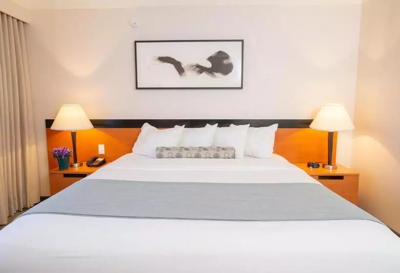 اتاق سوپریور با تخت بزرگ, Miyako Hotel Los Angeles