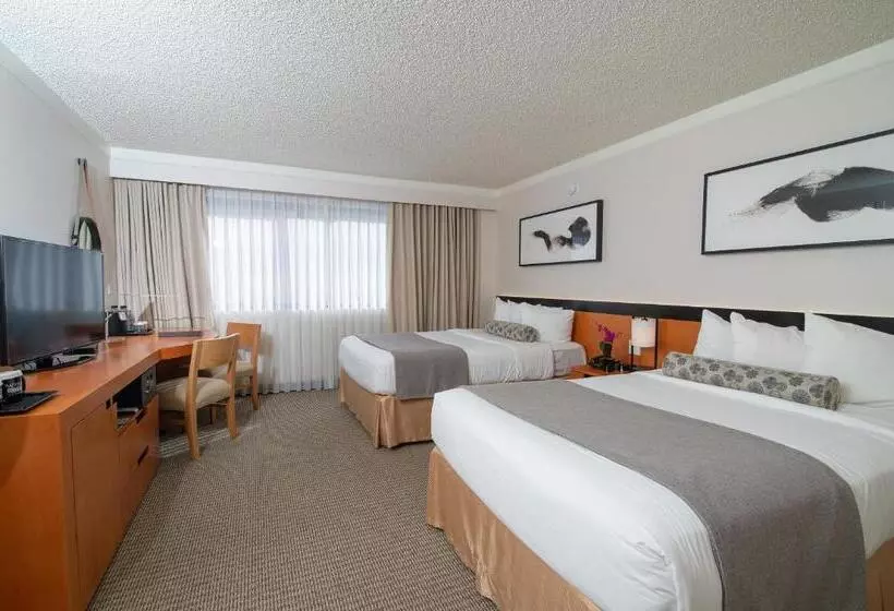 اتاق سوپریور, Miyako Hotel Los Angeles