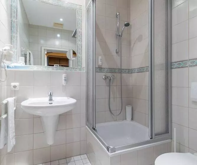 اتاق استاندارد یک نفره, Galerie Hotel Leipziger Hof
