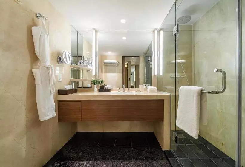 اتاق استاندارد با تخت بزرگ, Hyatt Regency Mexico City
