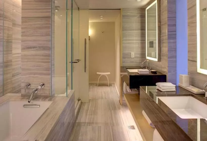 سوئیت با تخت بزرگ, Hyatt Regency Mexico City