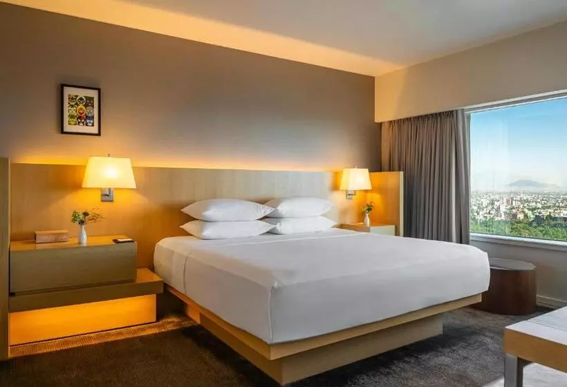 سوییت اجرایی, Hyatt Regency Mexico City