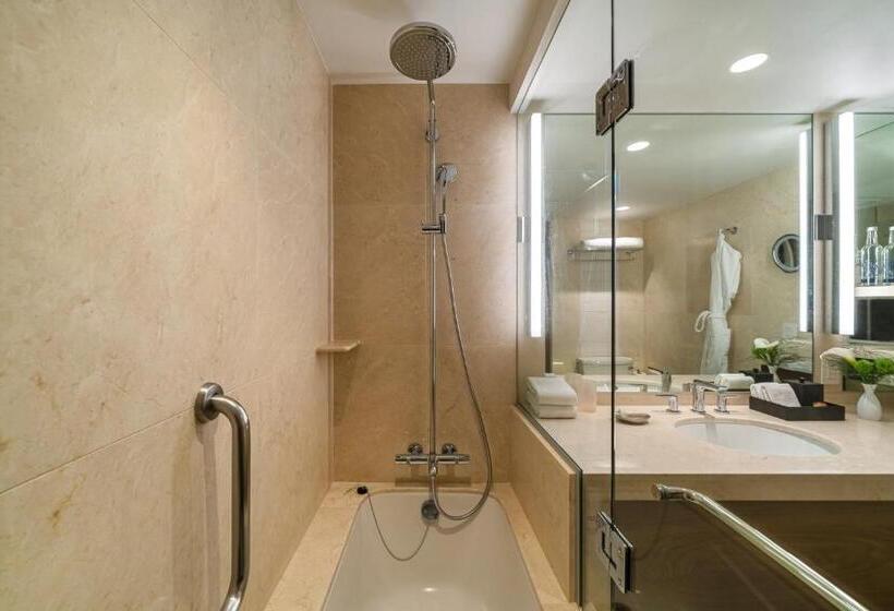 Номер Стандарт, Hyatt Regency Mexico City