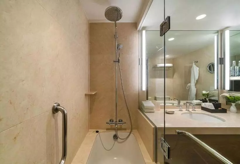 اتاق استاندارد, Hyatt Regency Mexico City