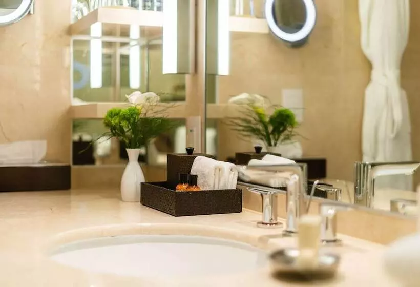 اتاق استاندارد با چشم‌انداز پارک, Hyatt Regency Mexico City