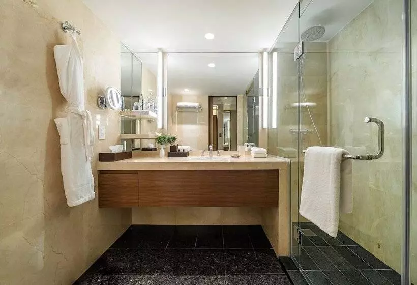 اتاق استاندارد با چشم‌انداز پارک, Hyatt Regency Mexico City