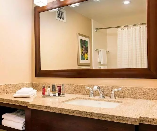 اتاق استاندارد با 2 تخت دوبل, San Ramon Marriott