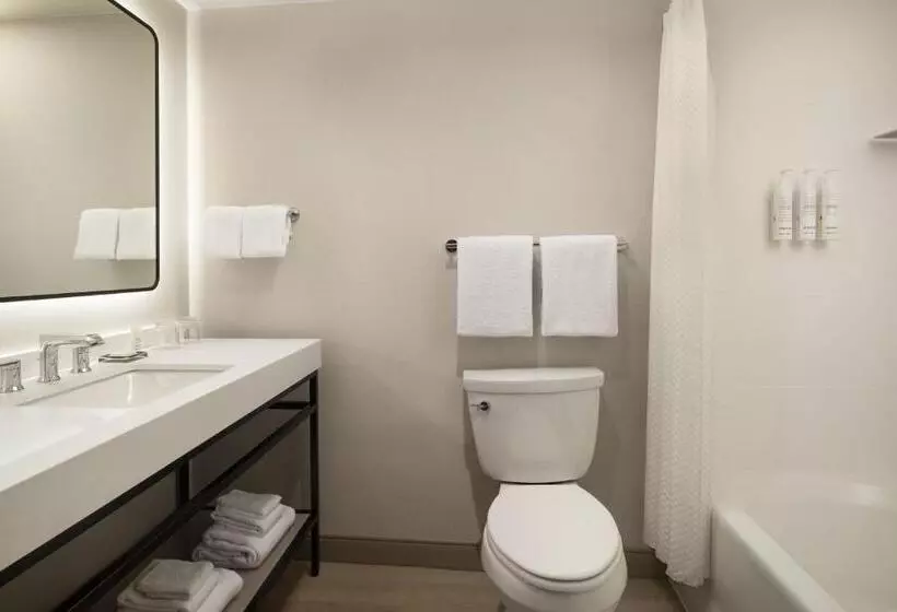 اتاق استاندارد با تخت بزرگ, San Ramon Marriott