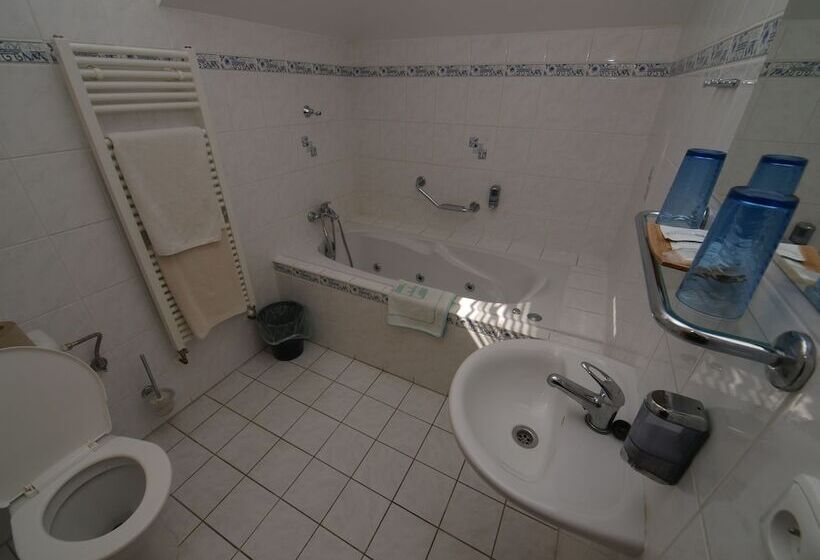 חדר דלוקס, Holiday Hotel Macocha