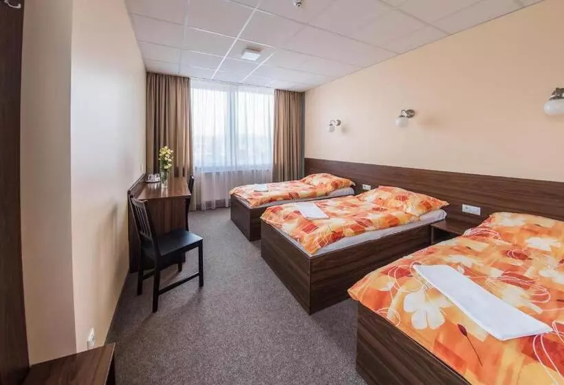 اتاق استاندارد سه نفره, City Hotel B&b