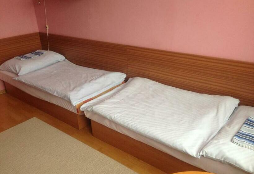 جناح عائلي, Dom Techniky