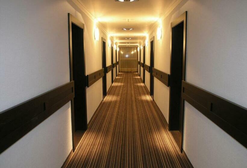 舒适型房间, Druzba