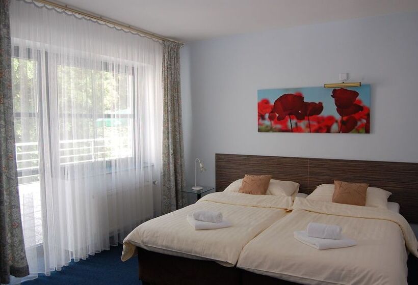 스탠다드 룸, Interhotel America