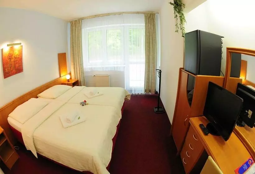 スタンダードルーム, Interhotel America