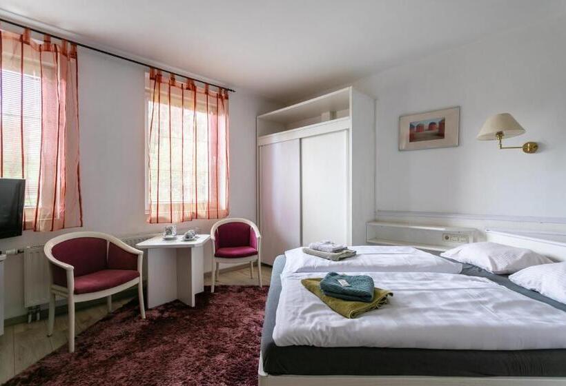 스탠다드 룸, Panorama