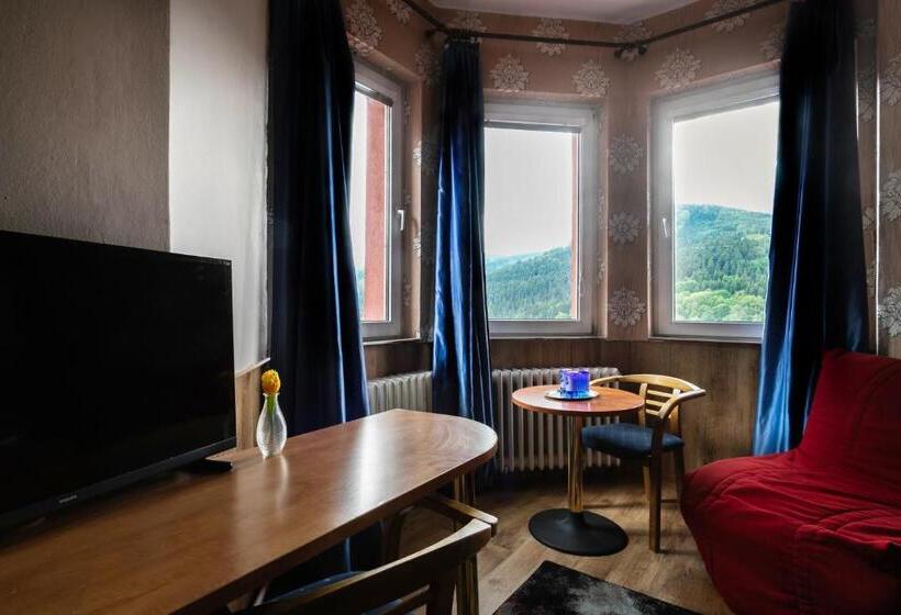 스탠다드 룸, Panorama