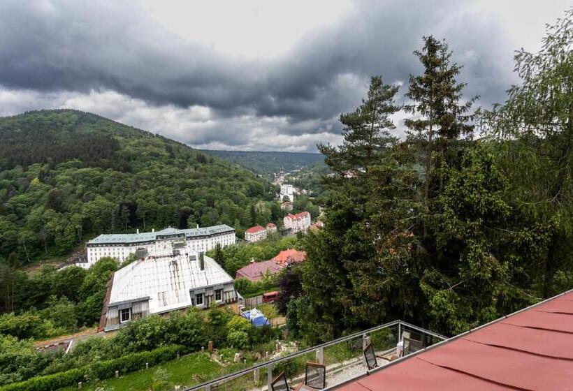 스탠다드 룸, Panorama