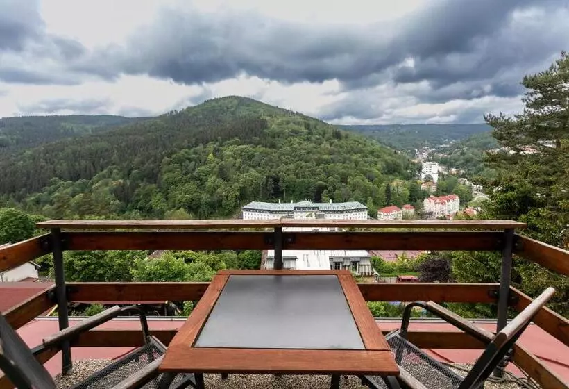 Standard-huone, Panorama