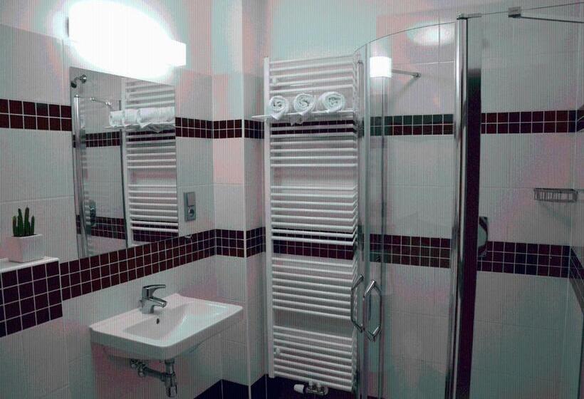 חדר סטנדרט יחיד, Zámek Velká Bystřice