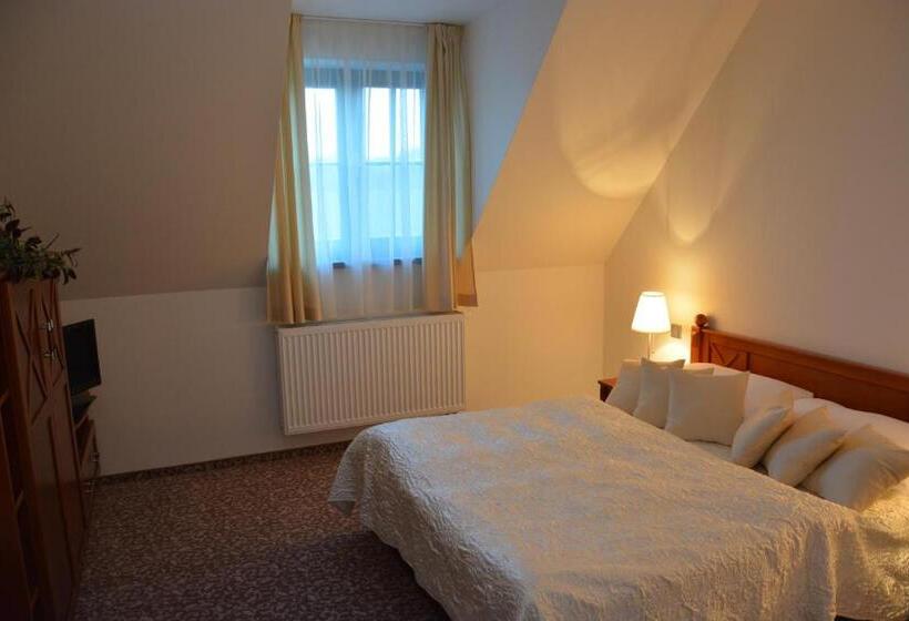 חדר סטנדרט, Zámek Velká Bystřice