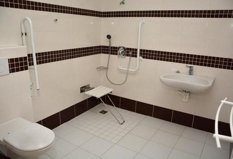 חדר סטנדרט מותאם לאדם עם מוגבלויות, Zámek Velká Bystřice