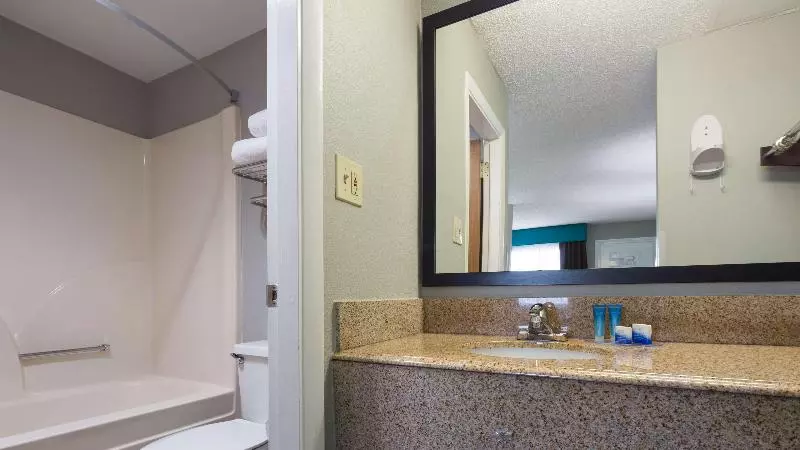 اتاق استاندارد با تخت بزرگ, Best Western Inn Florence