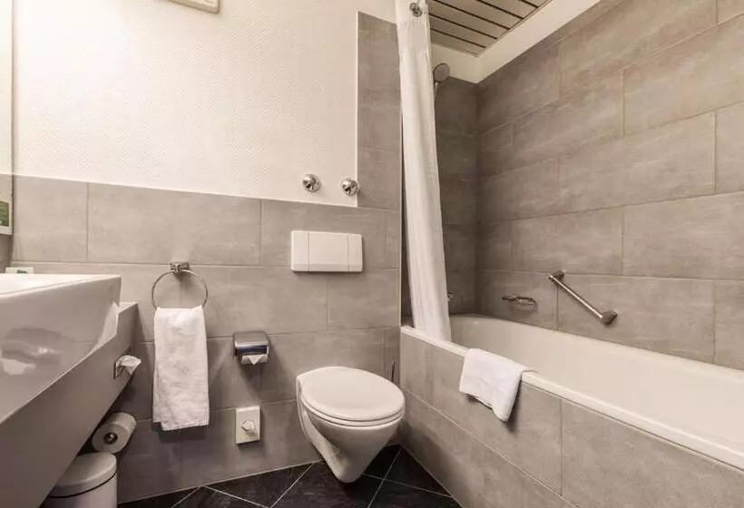 اتاق لوکس, Holiday Inn Düsseldorf Neuss, Ein Ihg